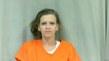 Deborah Lynn Douglas Mugshot