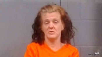 Deborah Rochelle Elkins Mugshot