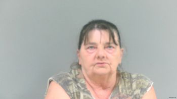 Deborah Kay Plumley Mugshot