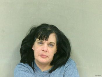 Deborah Lynn Wiley Mugshot