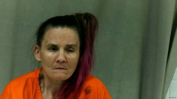 Deloris Jean Workman Mugshot