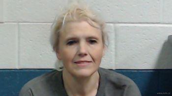 Delta Dawn Collins Mugshot