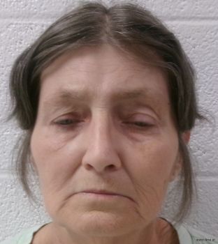 Diane Kay Cutlip Mugshot