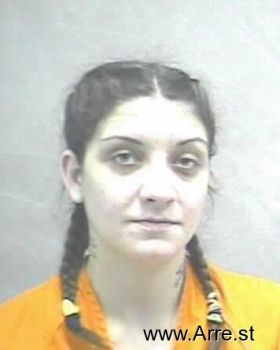 Dianna Lee Anderson Mugshot