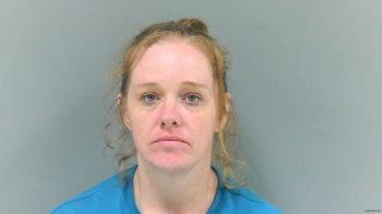 Donique Ann Mitchem Mugshot