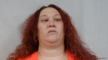 Donna Marie Bird Mugshot