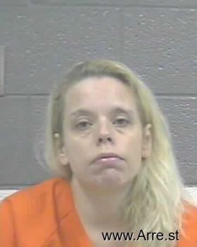 Donna Lynn Ashwood Mugshot