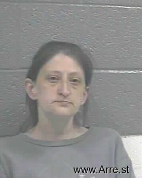 Donna Anne Casteel Mugshot