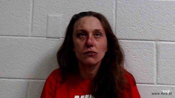 Elizabeth Ann Anderson Mugshot