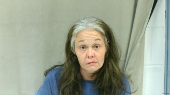 Elizabeth Dawn Bryant Mugshot