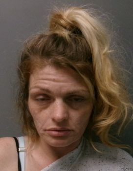 Elizabeth Elaine Perry Mugshot