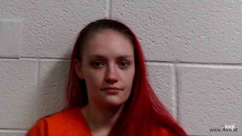 Elizabeth Allison Wiseman Mugshot