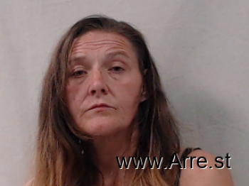 Erica Sue Crites Mugshot