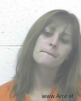 Erica Nicole Burnette Mugshot