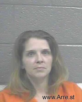 Erica Robin Hamm Mugshot