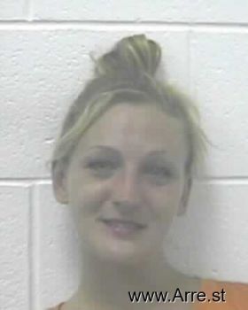 Erica Leigh Mullins Mugshot