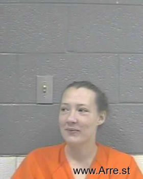 Erica Dawn Shelor Mugshot