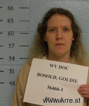 Goldie M Bosold Mugshot