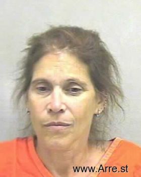 Gina Mary Domenick-hanket Mugshot