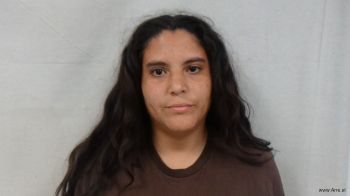 Greichy  Rodriguez-garcia Mugshot