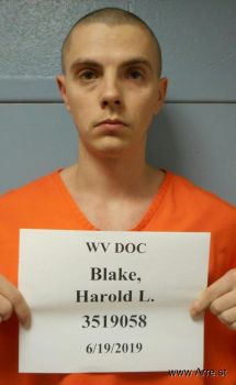 Harold Lester, Iv Blake Mugshot