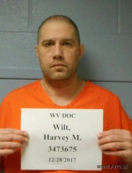 Harvey Michael Wilt Mugshot