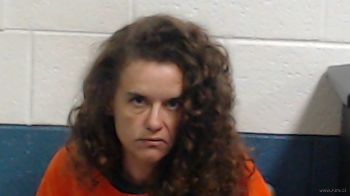 Heather Lee Austin Mugshot