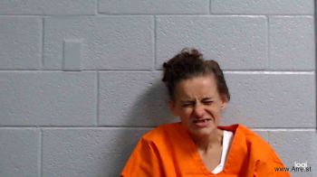 Heather Lee Austin Mugshot