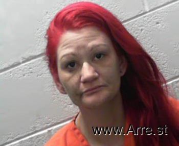 Heather Nicole Craun Mugshot