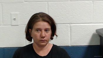 Heather Danielle Johnson Mugshot