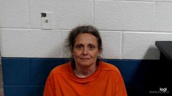 Heather Lynn Johnson Mugshot