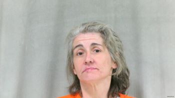 Heather Leigh Mitchem Mugshot