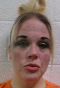 Heather Doyle Polston Mugshot