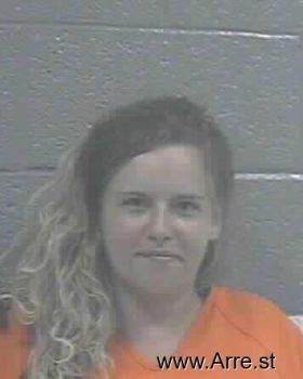 Heather Lee Austin Mugshot