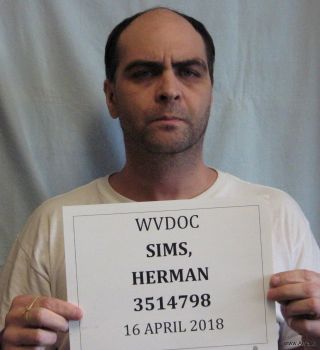 Herman Everitt, Jr. Sims Mugshot