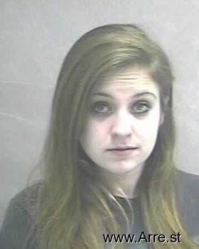 Hollie Sue Wilson Mugshot