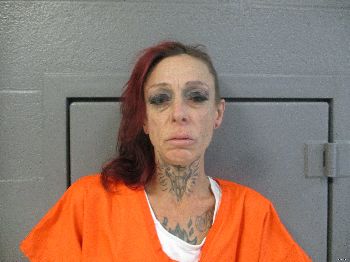 Ida Lee Evans Mugshot