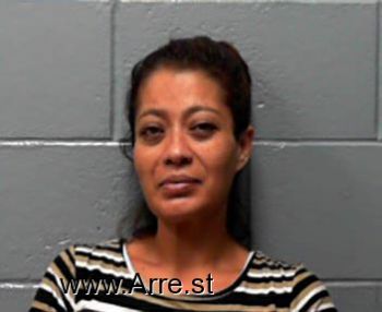 Ivonne Castaneda Valdez Mugshot