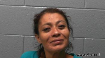 Ivonne Castaneda Valdez Mugshot