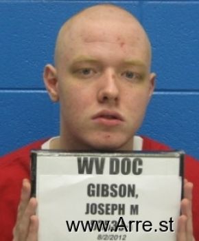 Joseph  Gibson Mugshot