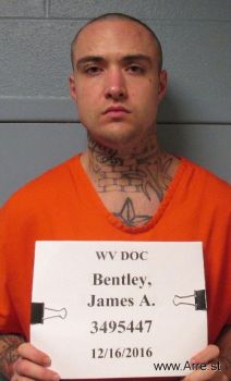 James Allen Bentley Mugshot