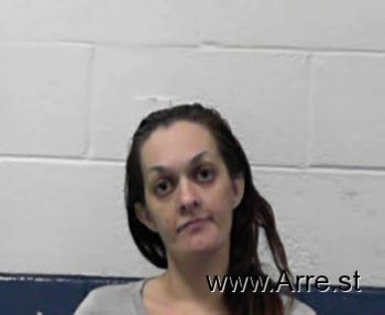 Jamie Suzanne Cook Mugshot