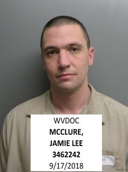 Jamie Lee Mcclure Mugshot