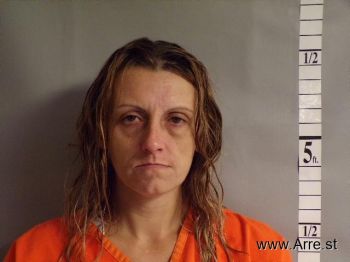 Jamie Ann Tanner Mugshot