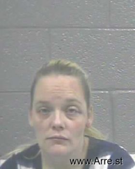 Jamie Ann Foster Mugshot