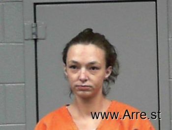 Janice Marie Palmer Mugshot