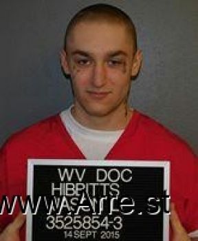 Jason Lee Hibbitts Mugshot