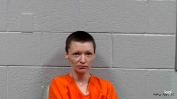 Jennifer Dixie Lambert Mugshot