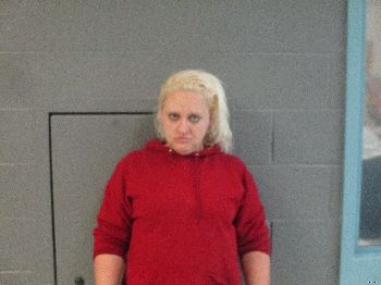 Jennifer Dawn Young Mugshot