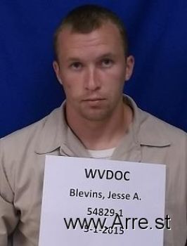 Jesse Arron Blevins Mugshot